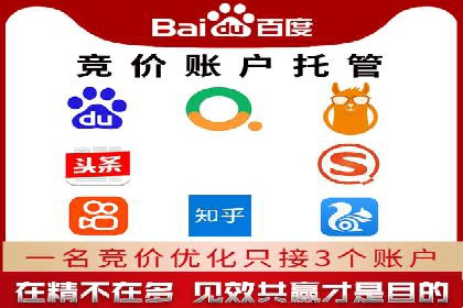 SEM实战案例：案例分析广告效果评估